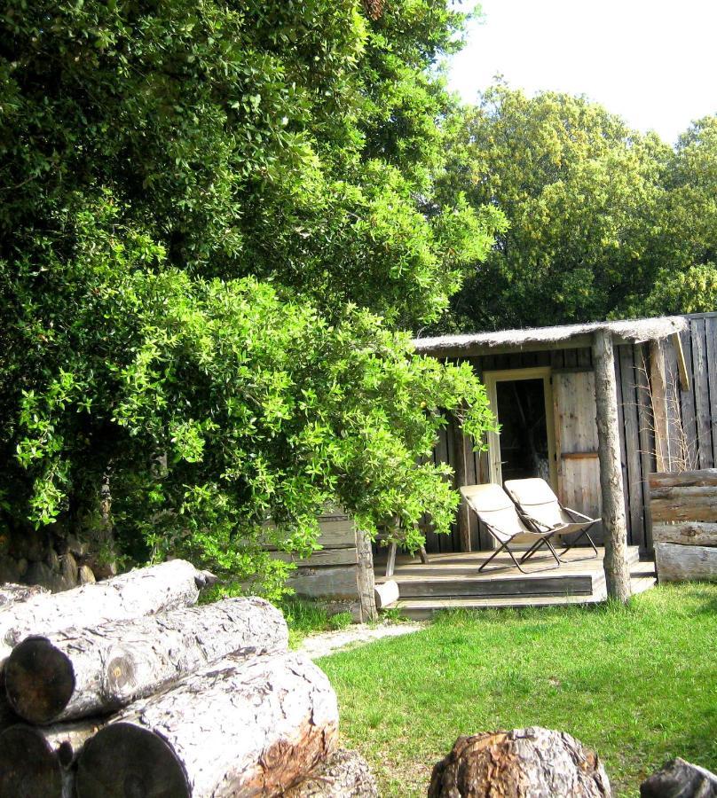 Lodges En Provence - Ecogites & Restaurant Insolites Richerenches Dış mekan fotoğraf