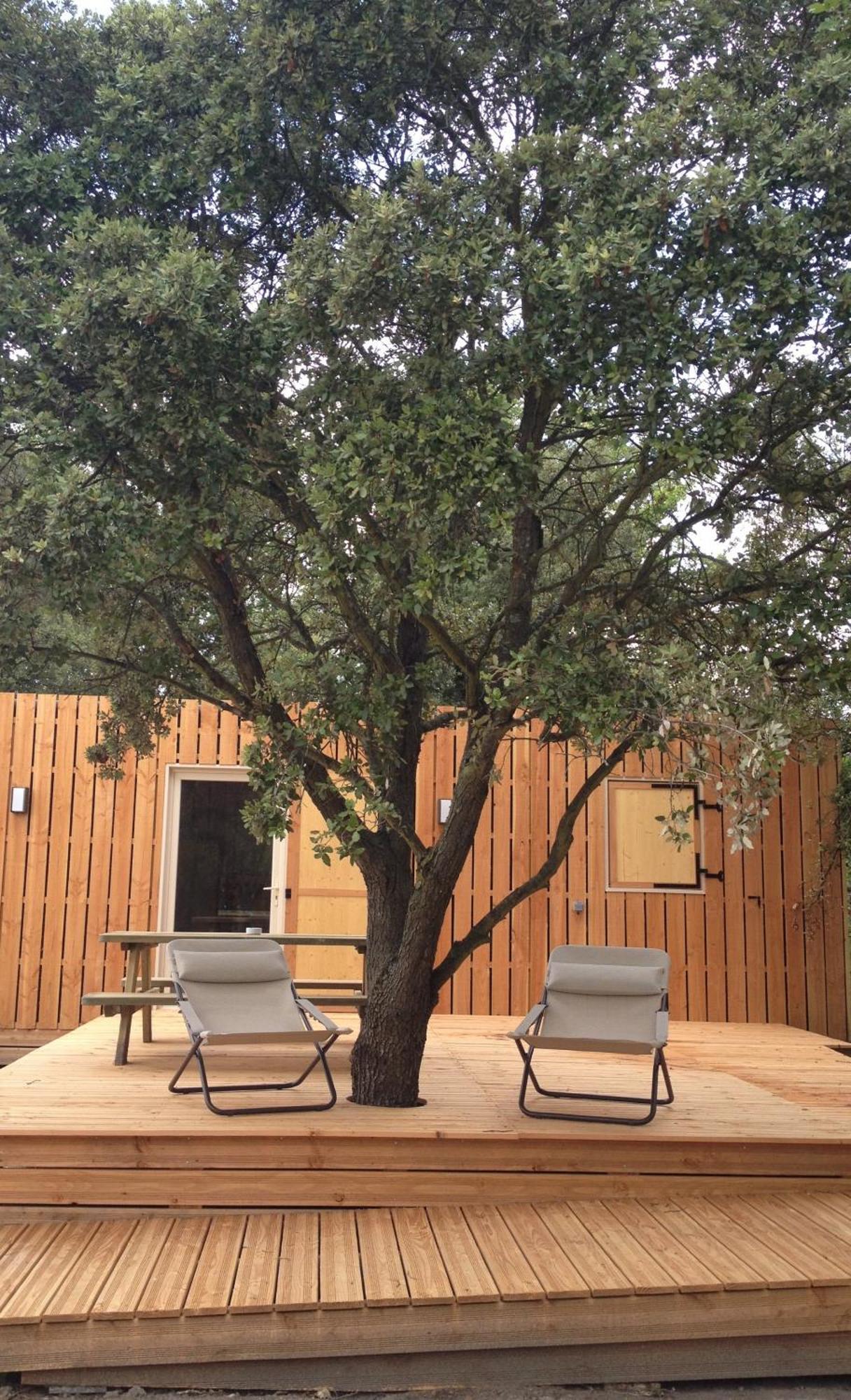 Lodges En Provence - Ecogites & Restaurant Insolites Richerenches Oda fotoğraf